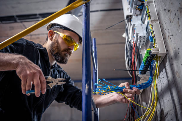 Best Electric Panel Repair  in Pearsall, TX